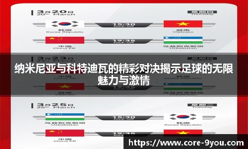 纳米尼亚与科特迪瓦的精彩对决揭示足球的无限魅力与激情